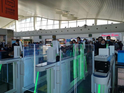 烏魯木齊機場高科技設備提升服務，信息技術咨詢服務助力智慧出行